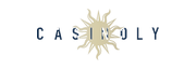 Casinoly logo